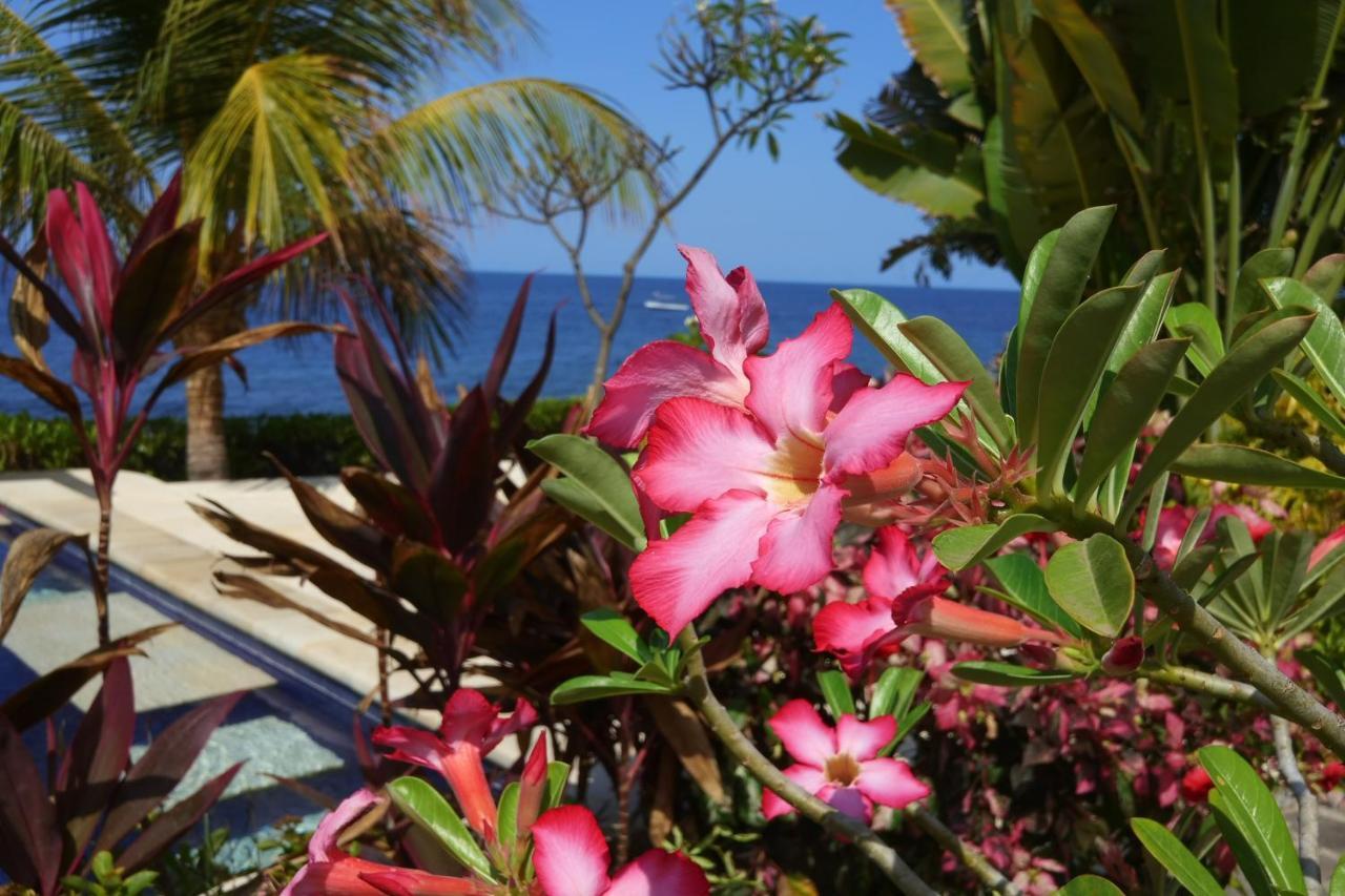 Hotel Alam Mimpi Bali à Tejakula Extérieur photo